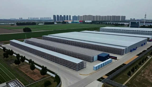在选品解决电商代运营中的常见需求